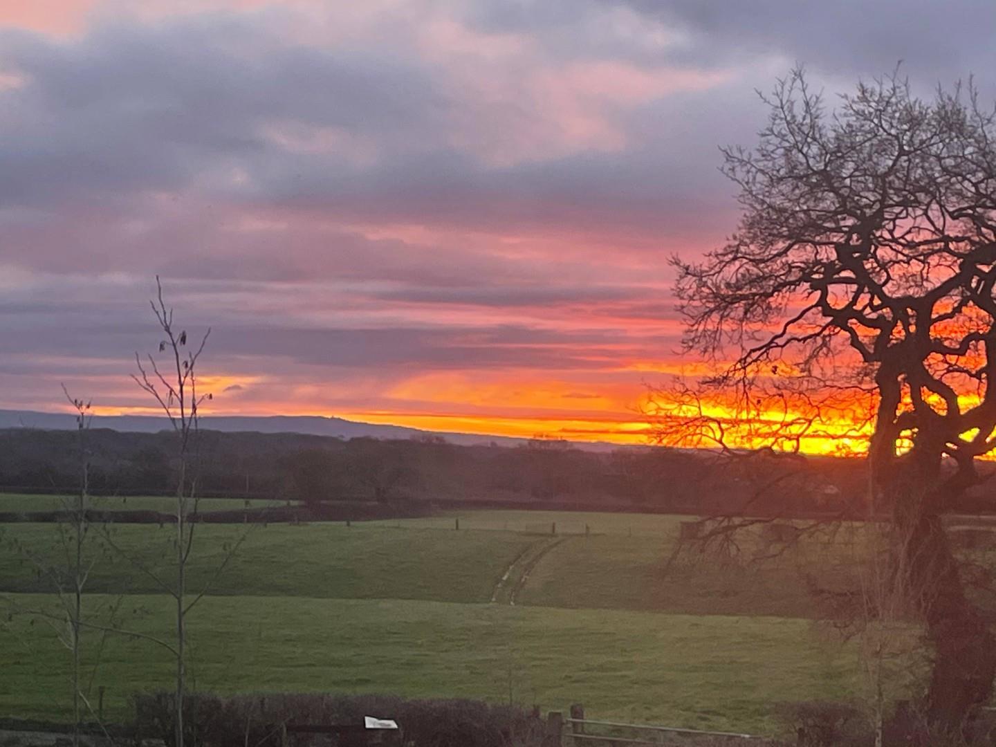 Redwing Street, Winsford CW Estate Agents